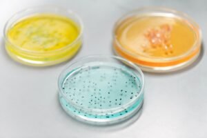 Laboratuvarda petri kapları